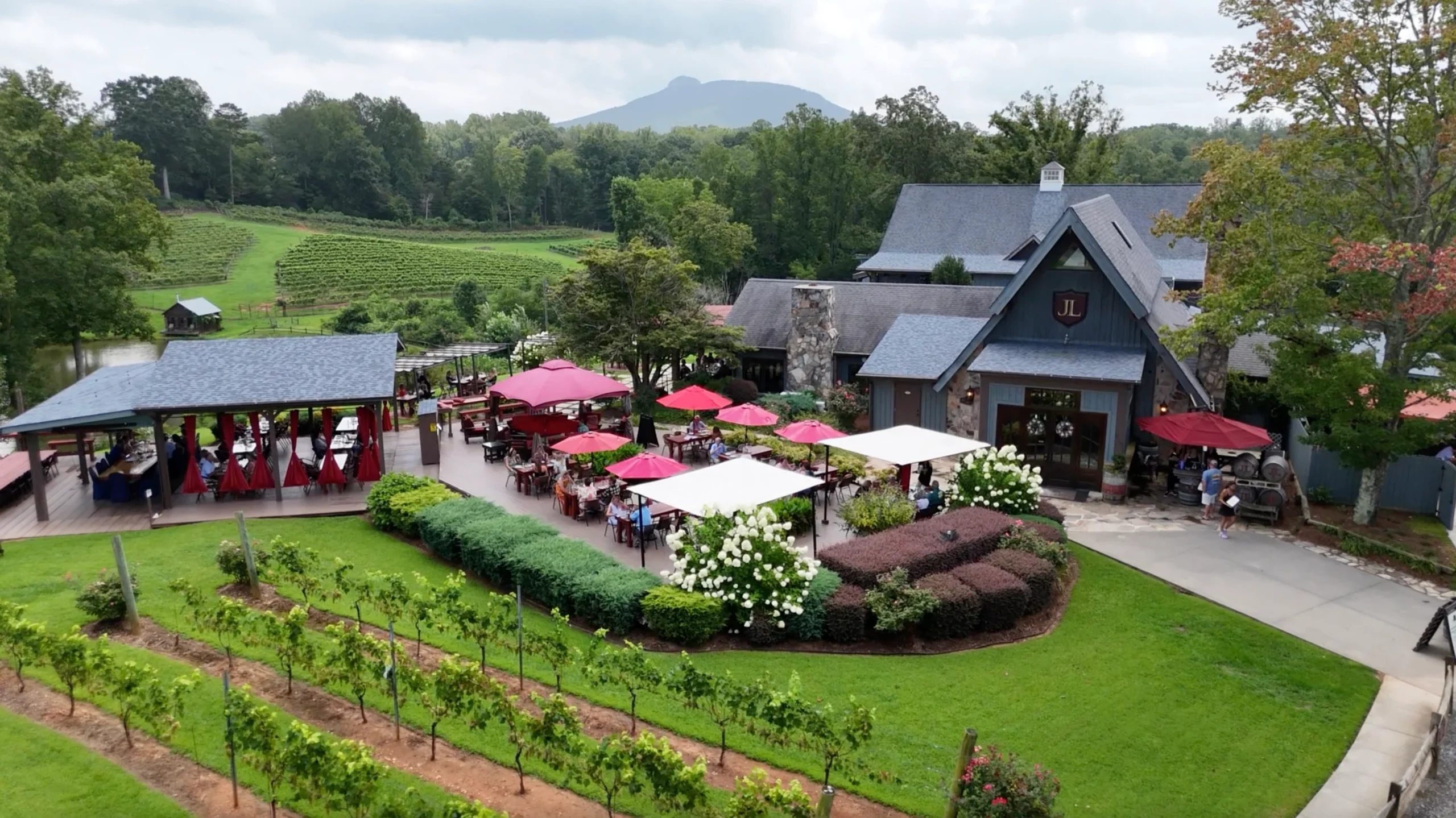 JOLO Professional Image 1